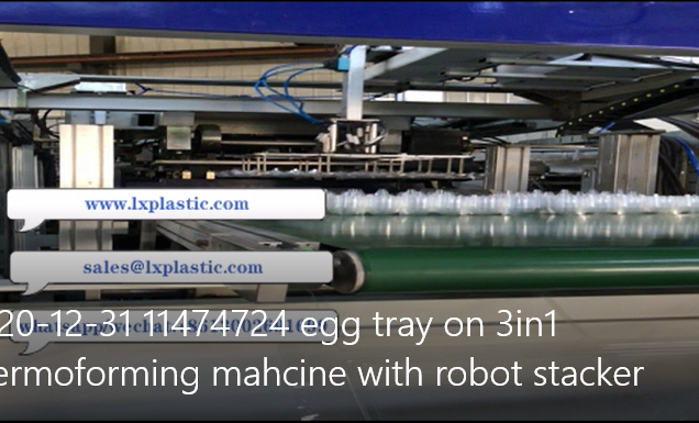 24 egg tray on 3in1 thermoforming mahcine with robot stacker