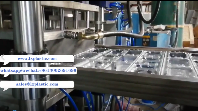 vented fruit clamshell on 4in1 thermoforming machine with up stacker