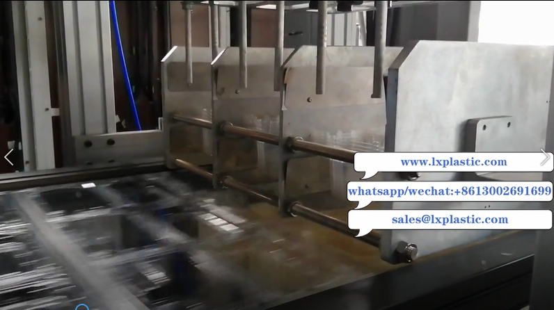fruit clamshell on 4in1 thermoforming machine with  up stacker